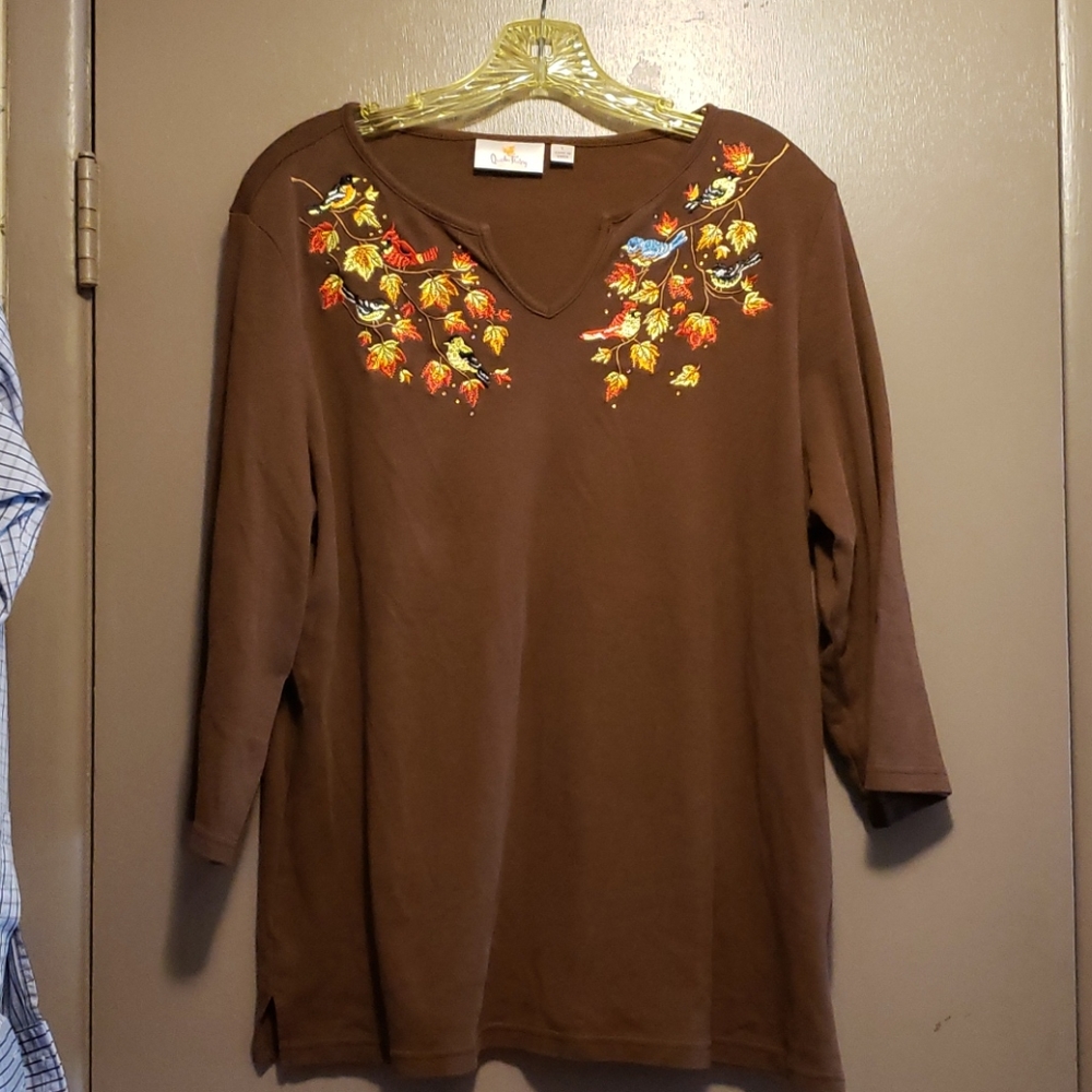 Brown fall embroidered top
